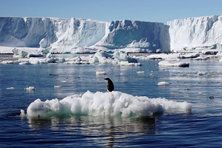 Arctic Fears: Is the Reality an Accelerated Ice Melting?