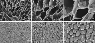 How does the new Phosphorescent probe reveal microstructures in water ice?